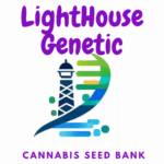 LightHouse Genetic logo